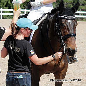 Tratador Olimpico-  Olympic Groom Lynsey Rowan