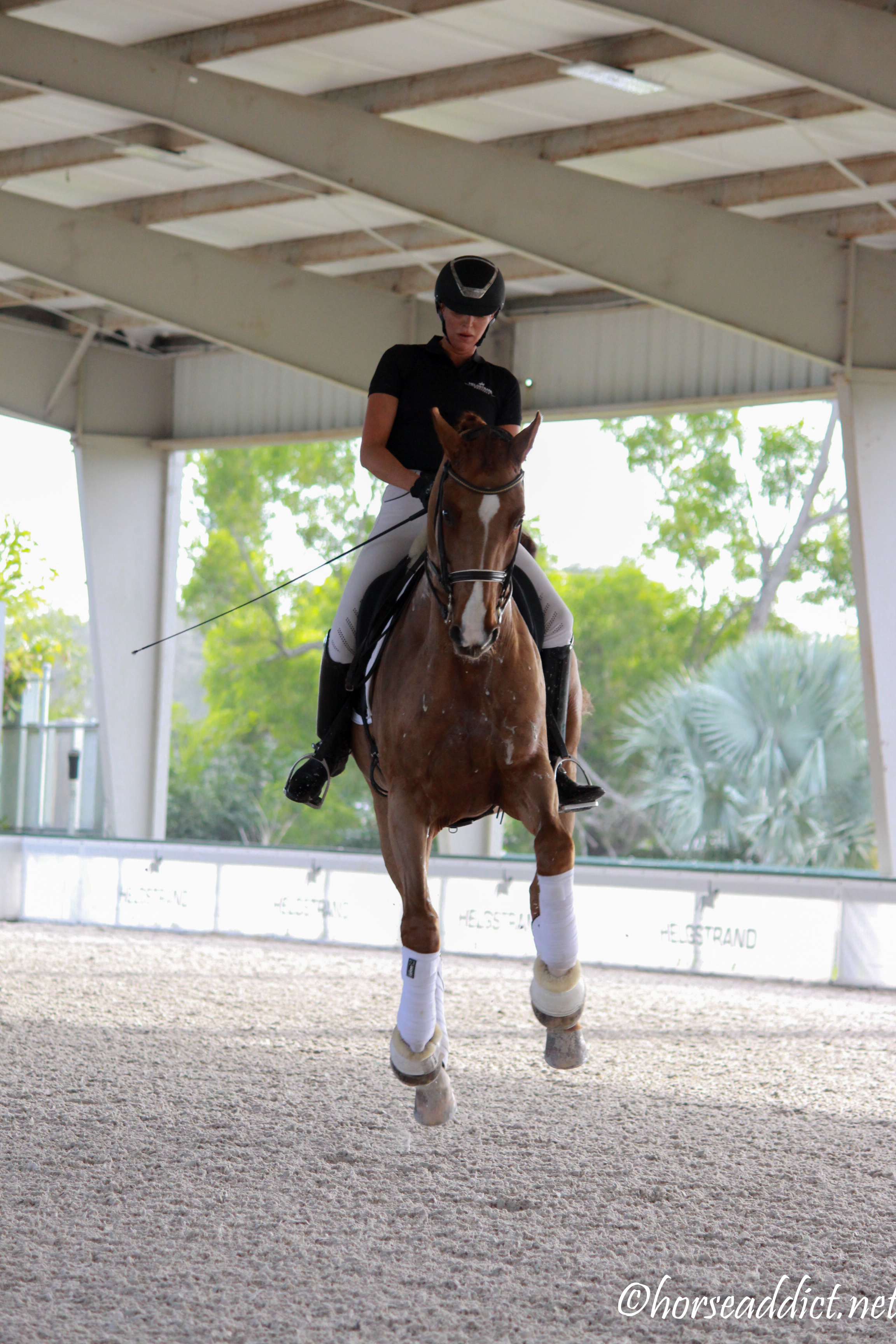 Monday Minstrel: Flying Horse!