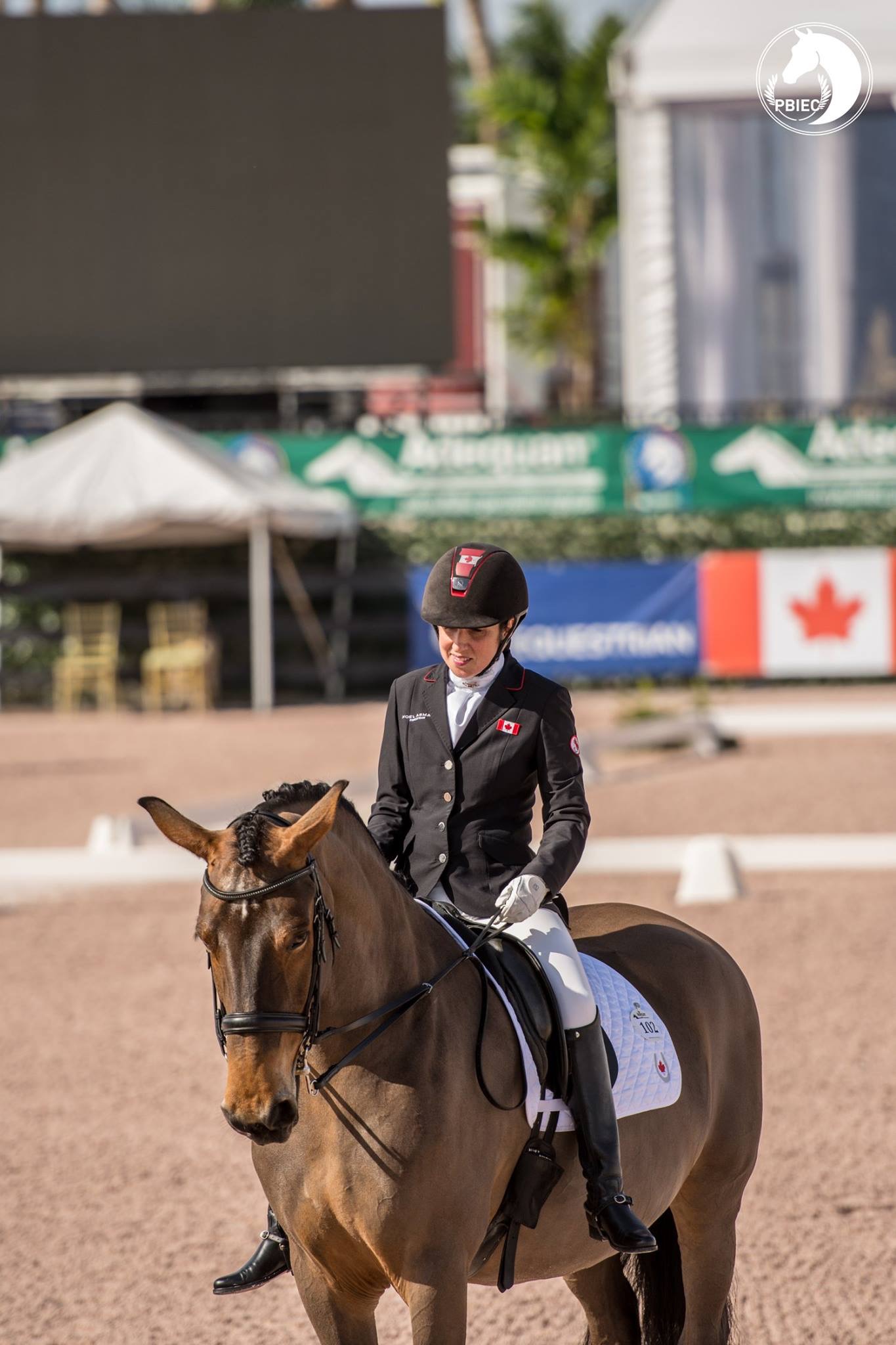 Robyn Andrews: Para Equestrian Competing for the Worlds.