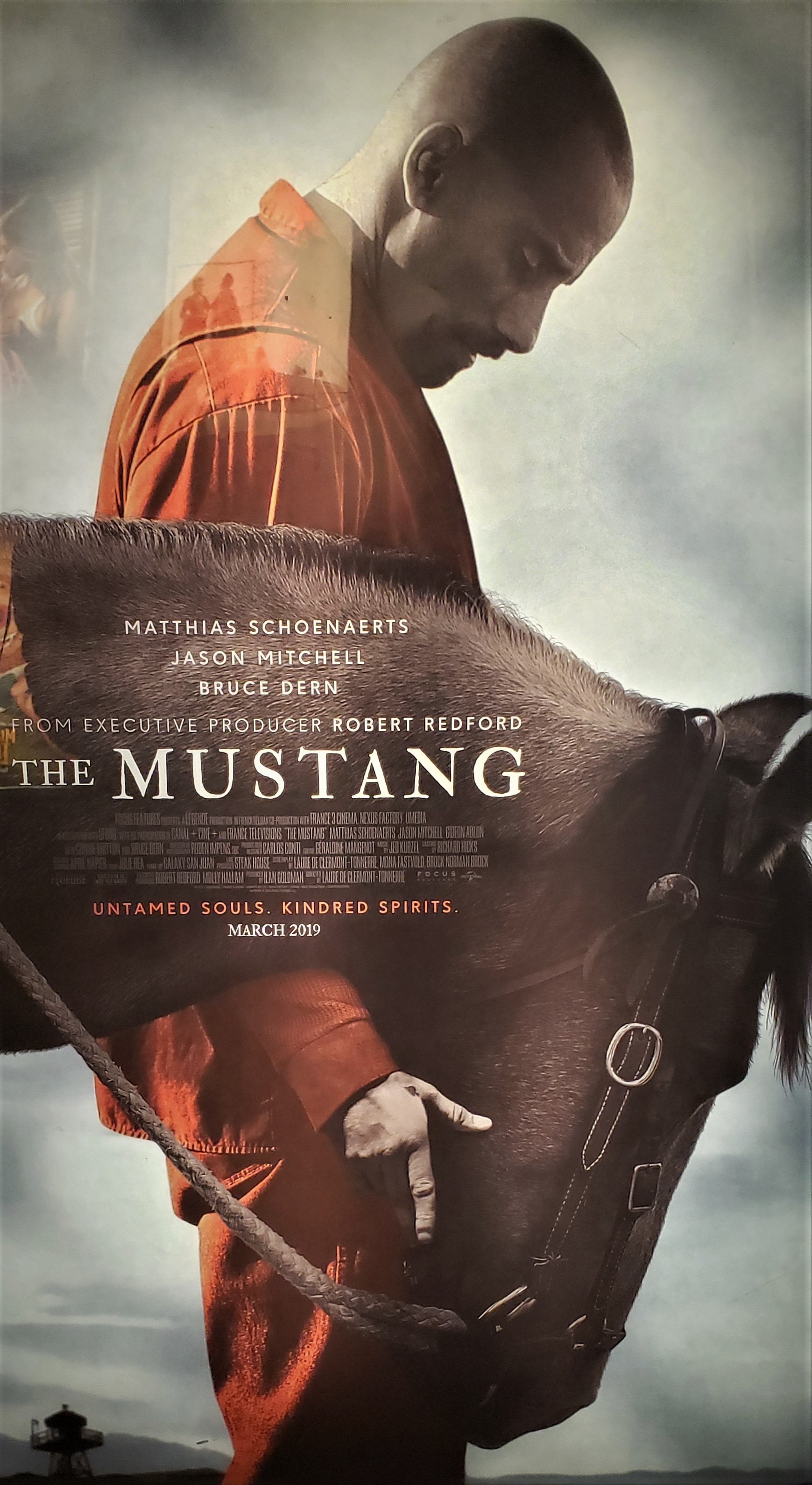 Film Review: The Mustang
