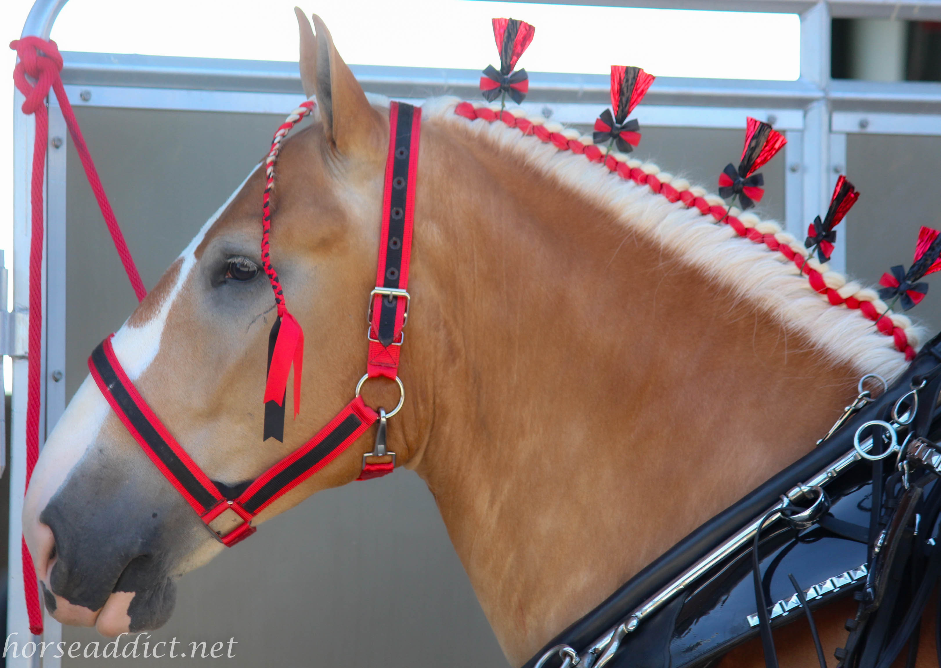 More Word Press Woes!!!