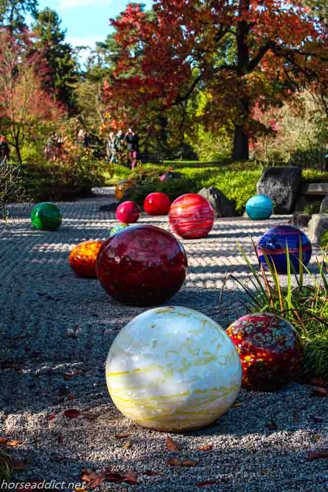 Chihuly:Reflections on Nature