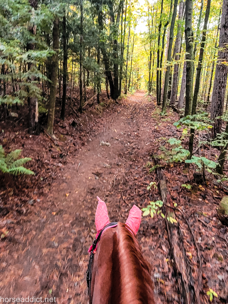 Biasini Speaks: Teaching Dave the Trails.