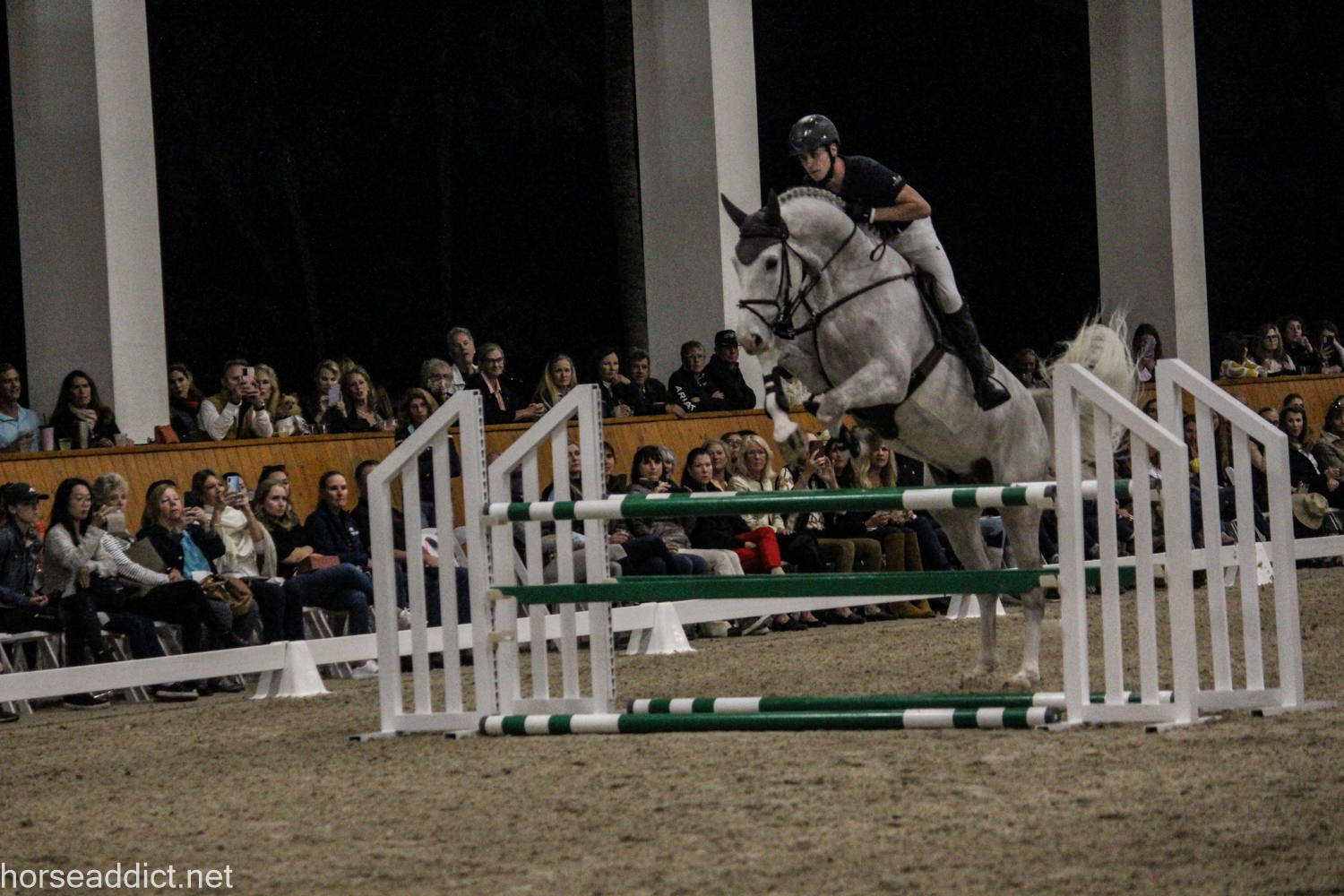 Dressage Horses and Jumpers all in one evening!