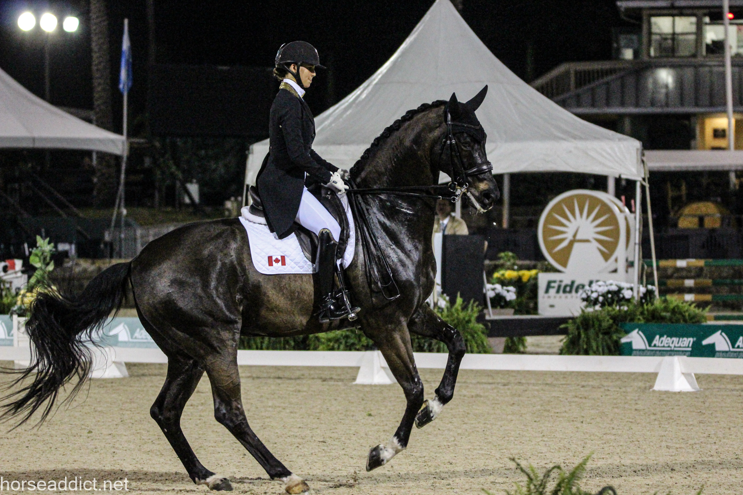 Naima Moriera Laliberte: Horses, Tokyo Olympics, Future Goals.