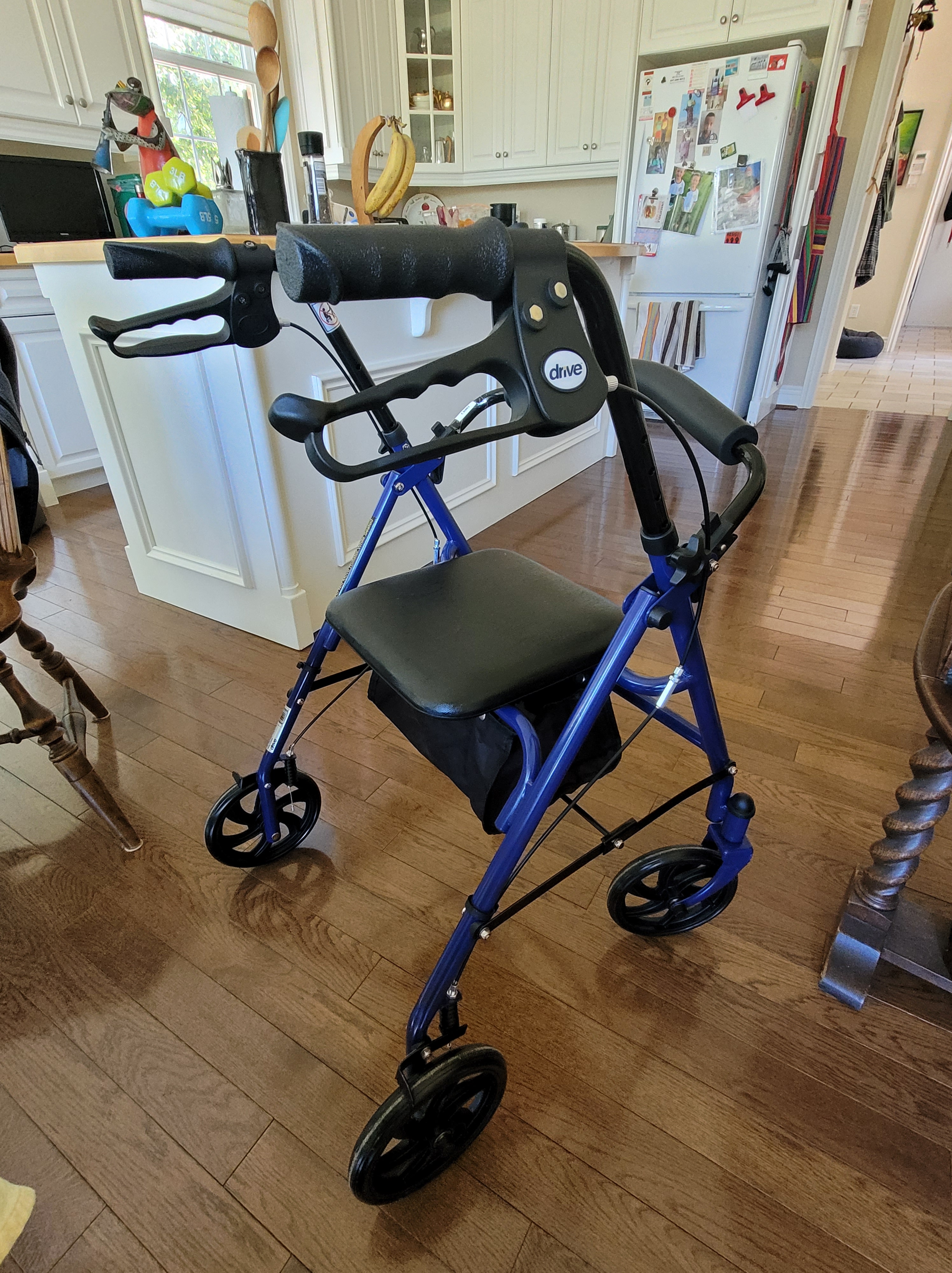 Introducing…Ronnie Rollator!