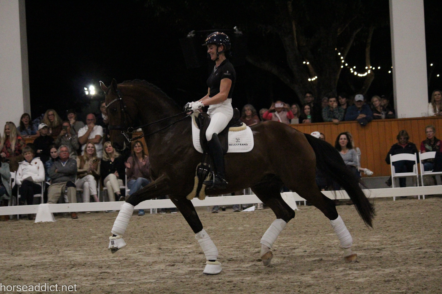 Helgstrand Horses: Show Jumpers and Dressage.