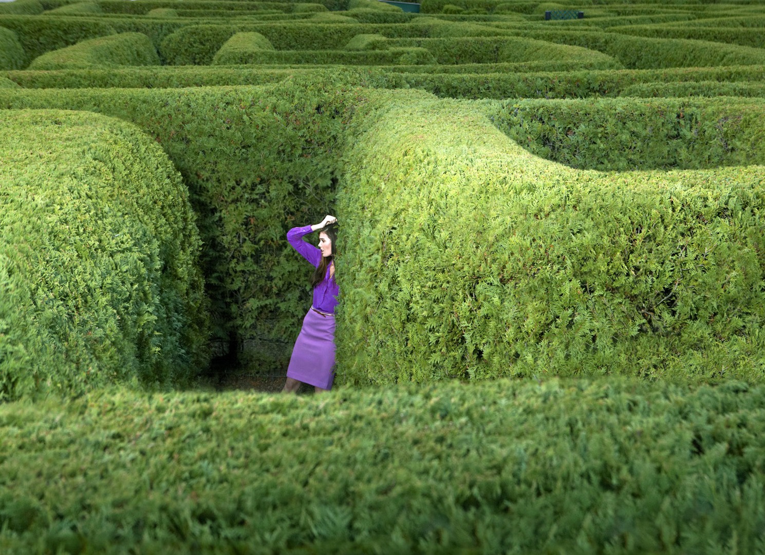 Lost in the Maze!
