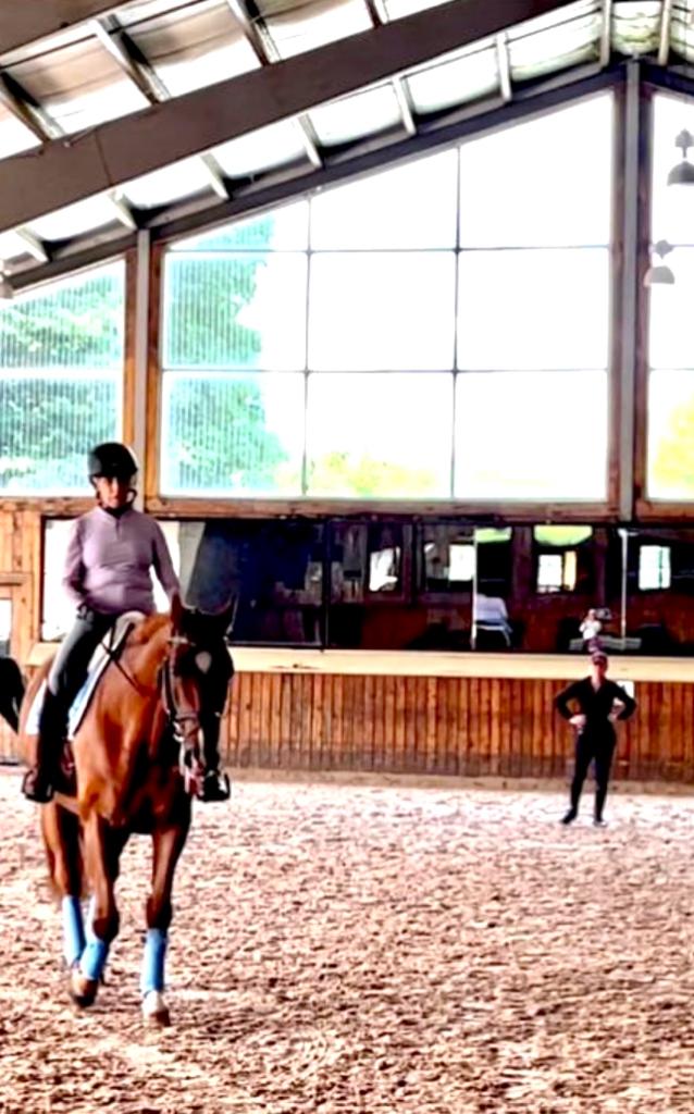 The rehab: a lot to think about.