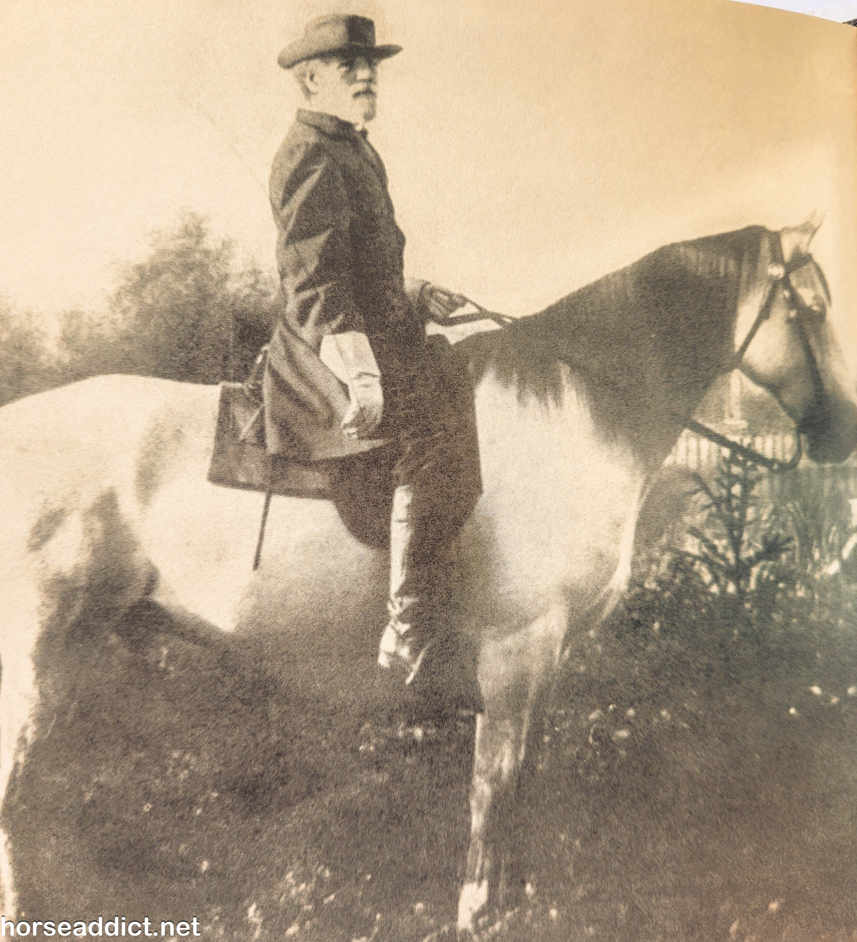Traveller: A Civil War horse.