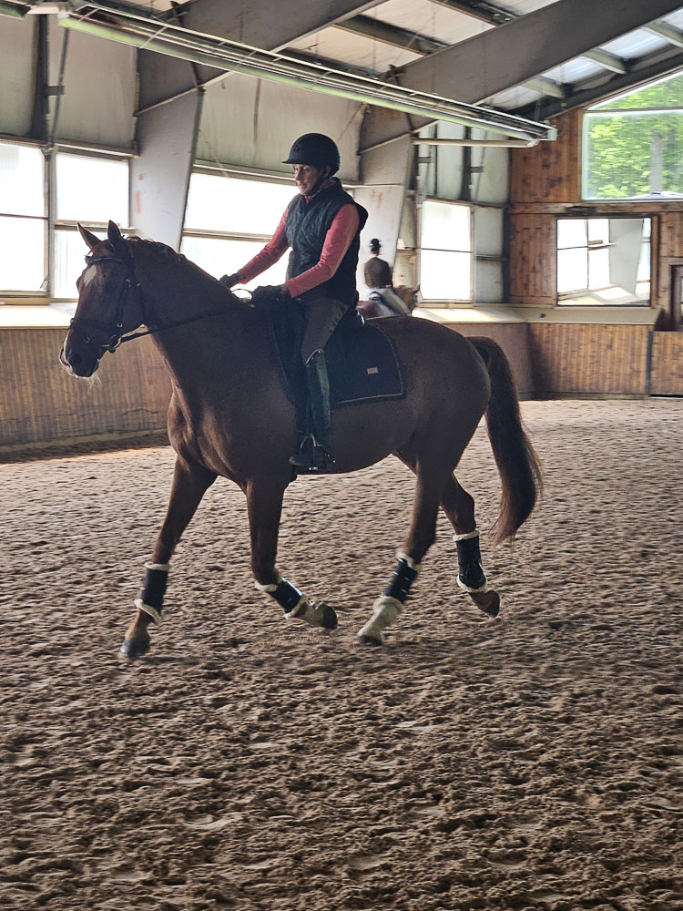 Biasini Speaks: I am working now!