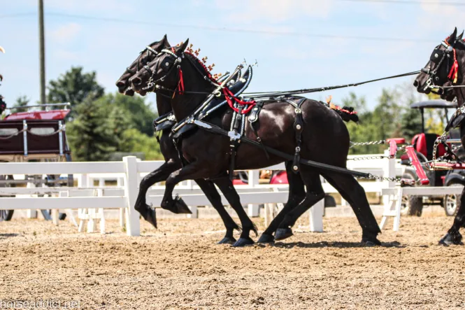 A thought for Thursday and two  Perfect Pairs