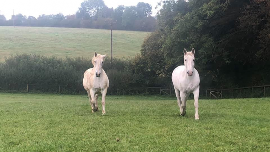 A thought for the day.